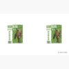 flat750x075f pad750x750f8f8f8.u4 9 - Cruelty Squad Store